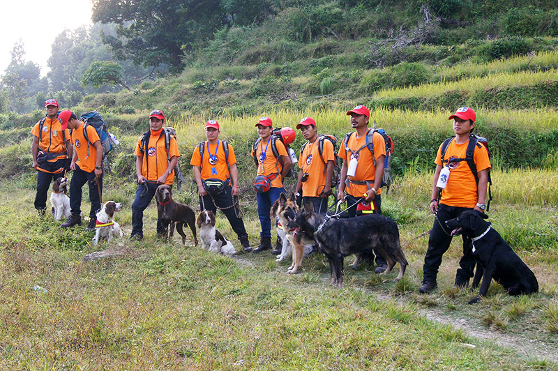 how to hire sar team